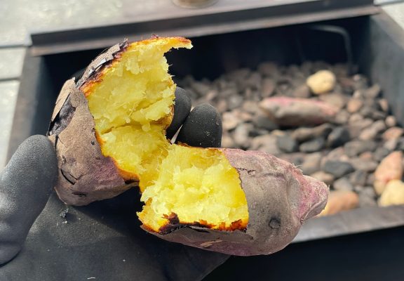 石焼き芋販売のお知らせイメージ